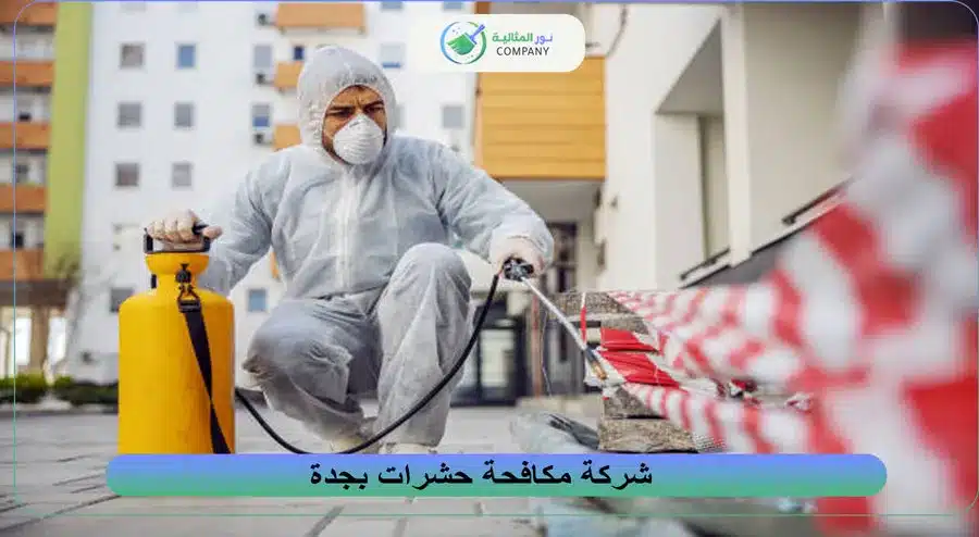 شركة مكافحة حشرات بجدة