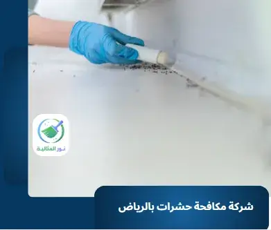شركة مكافحة حشرات بالرياض