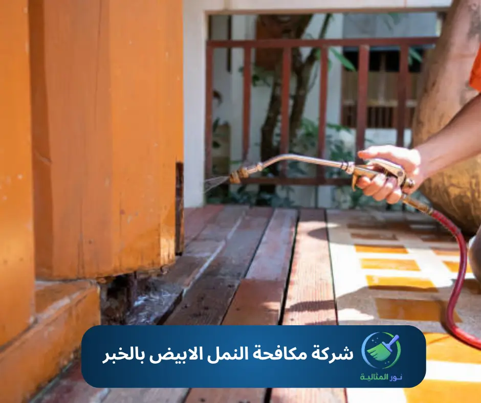 مبيد يستخدم في مكافحة النمل الابيض بالخبر بطريقة آمنة وفعالة