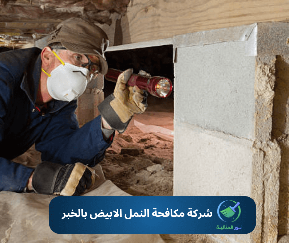 عامل من شركة مكافحة النمل الابيض بالخبر أثناء رش المبيدات داخل المنزل