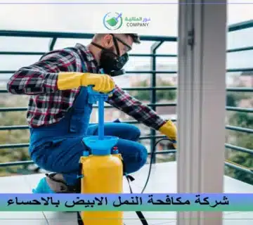 شركة مكافحة النمل الابيض بالاحساء