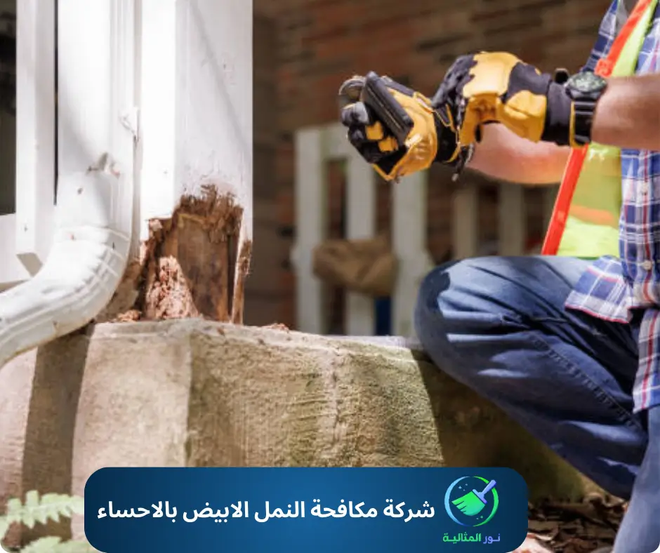 رش مواد مكافحة النمل الأبيض على قاعدة خشبية خارجية.