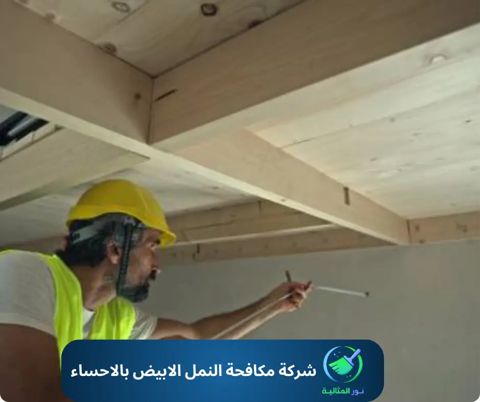 فحص السقف الخشبي للكشف عن النمل الأبيض بالاحساء.