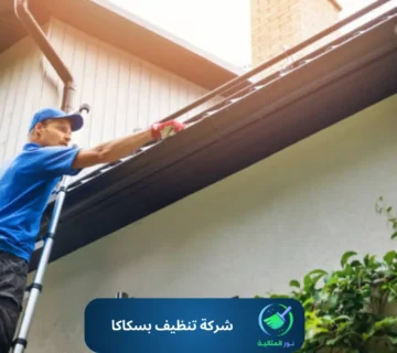 شركة تنظيف بسكاكا