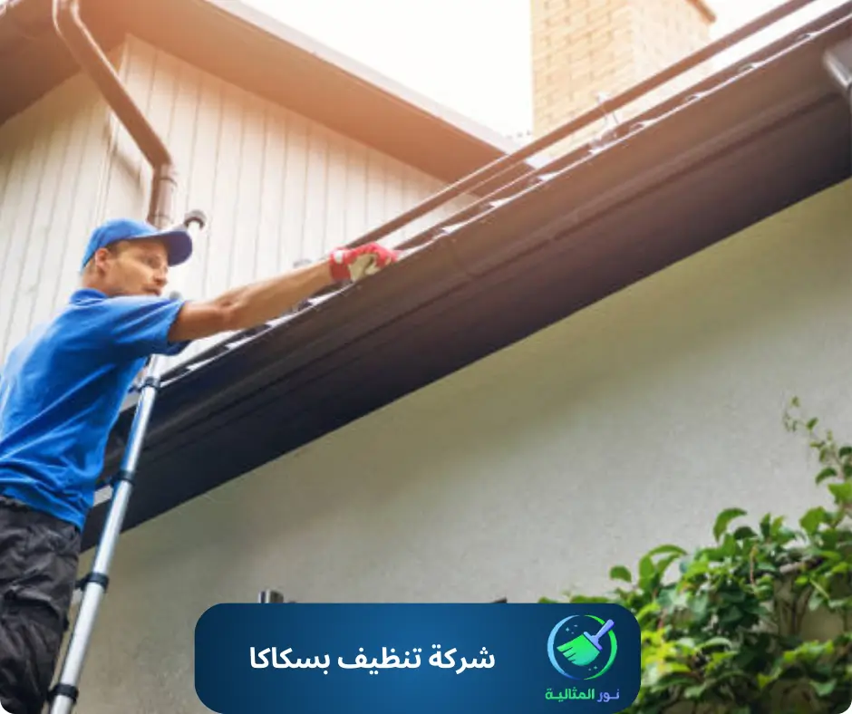 شركة تنظيف بسكاكا