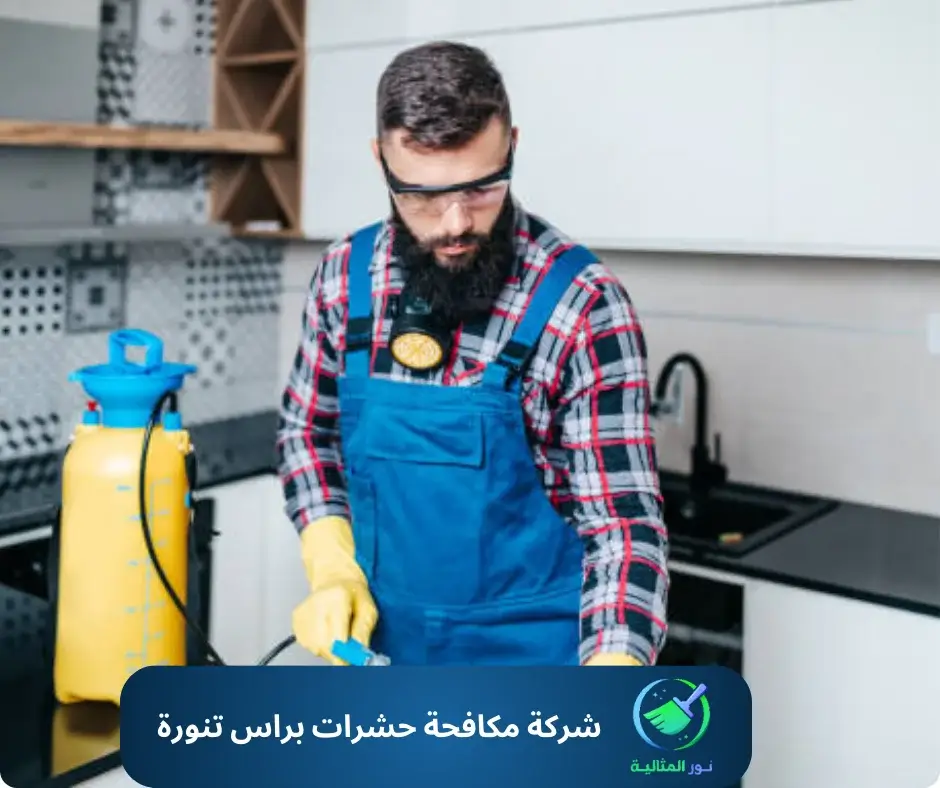 شركة مكافحة حشرات براس تنورة