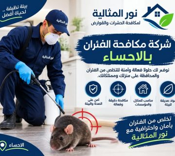 شركة مكافحة الفئران بالاحساء