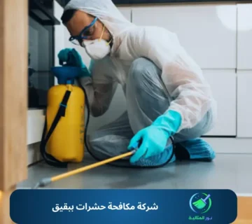 شركة مكافحة حشرات ببقيق