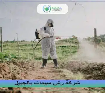 شركة رش مبيدات بالجبيل