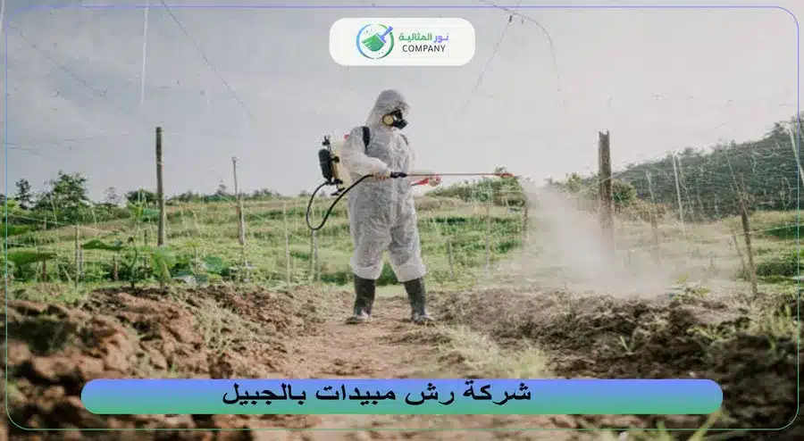 شركة رش مبيدات بالجبيل