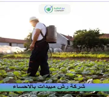 شركة رش مبيدات بالاحساء