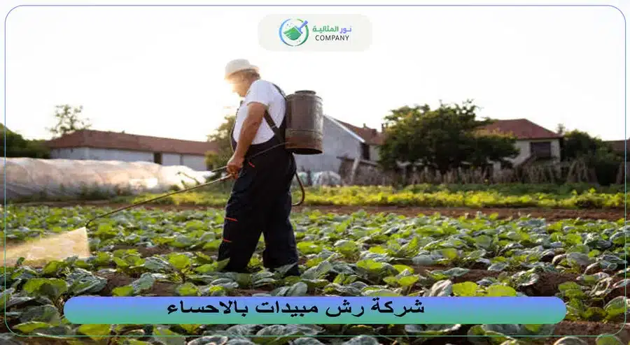 شركة رش مبيدات بالاحساء