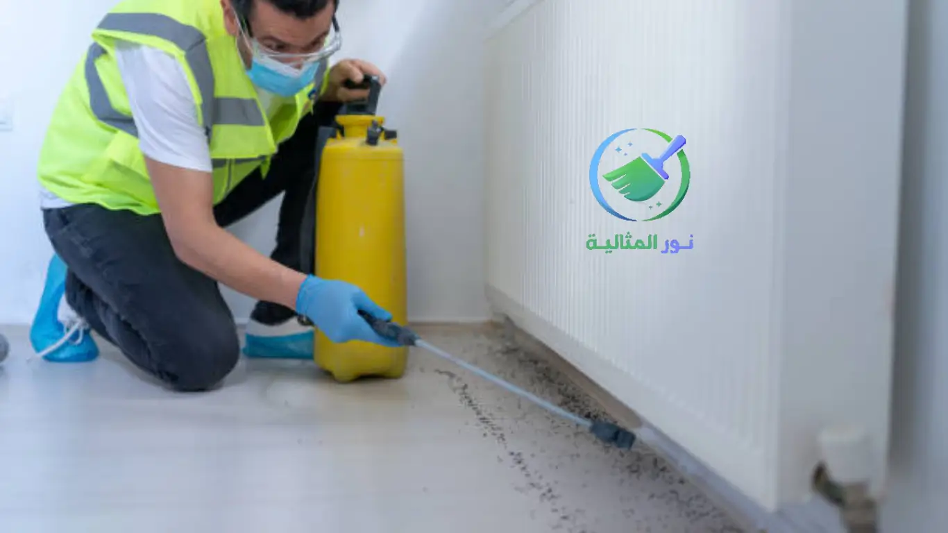 شركة مكافحة حشرات بالاحساء