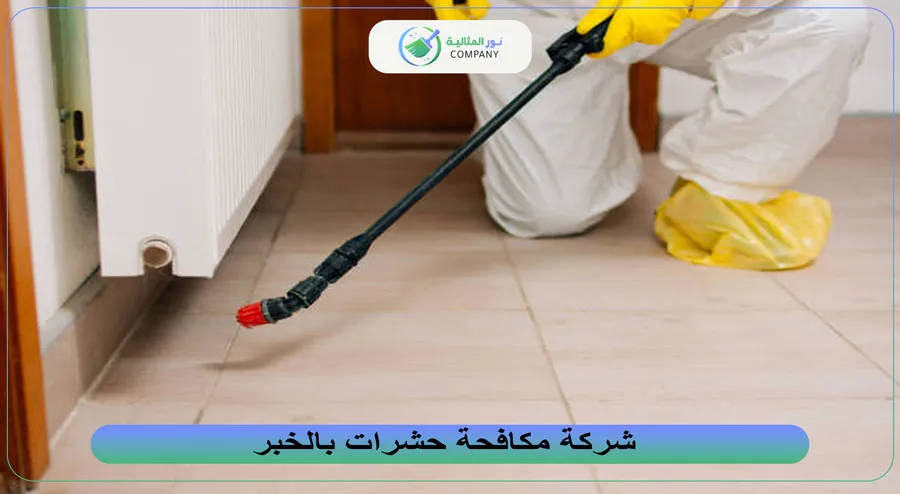 شركة مكافحة حشرات بالخبر