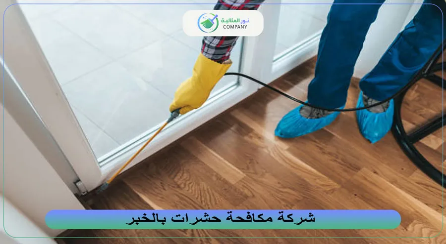 شركة مكافحة حشرات بالخبر