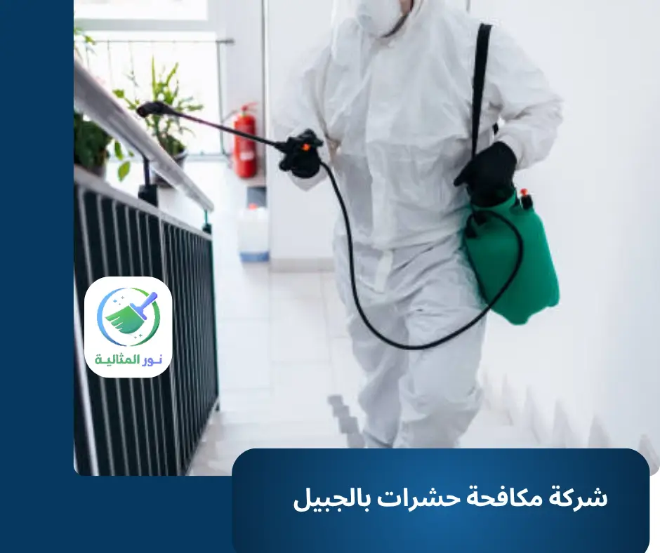شركة مكافحة حشرات بالجبيل