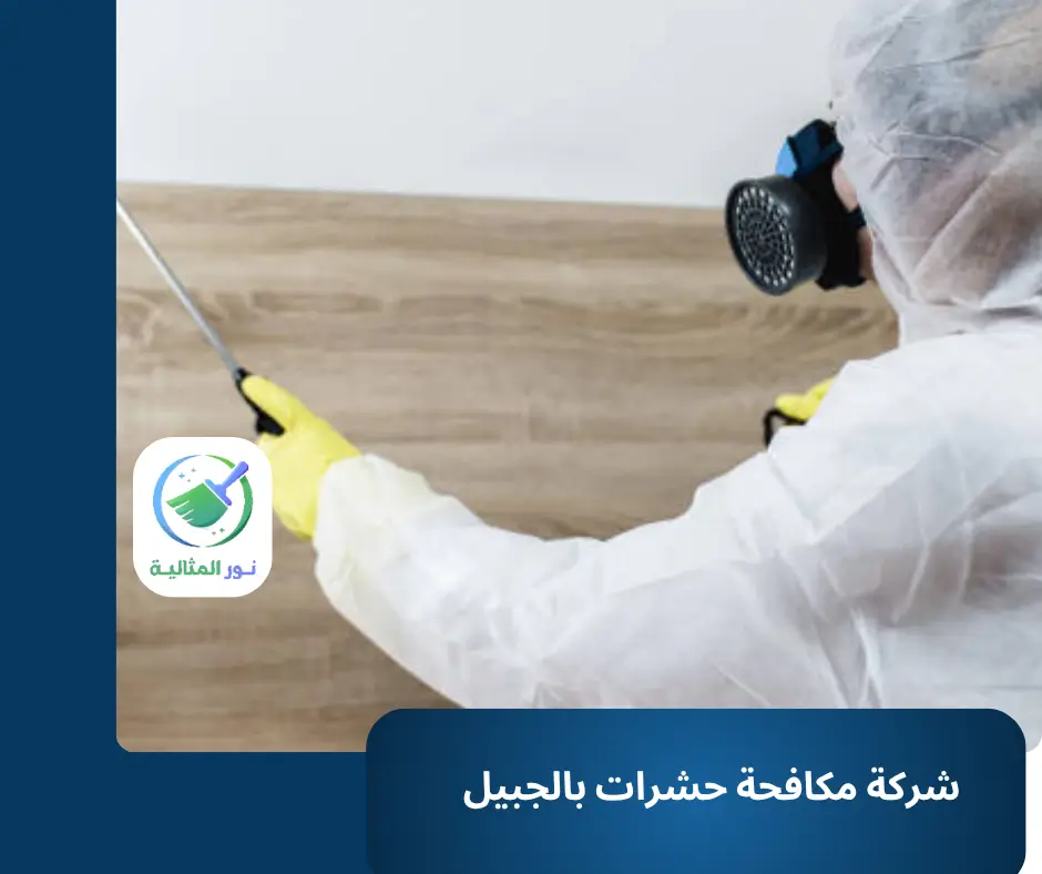 شركة مكافحة حشرات بالجبيل