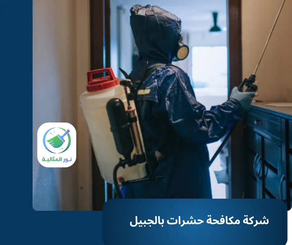 شركة مكافحة حشرات بالجبيل