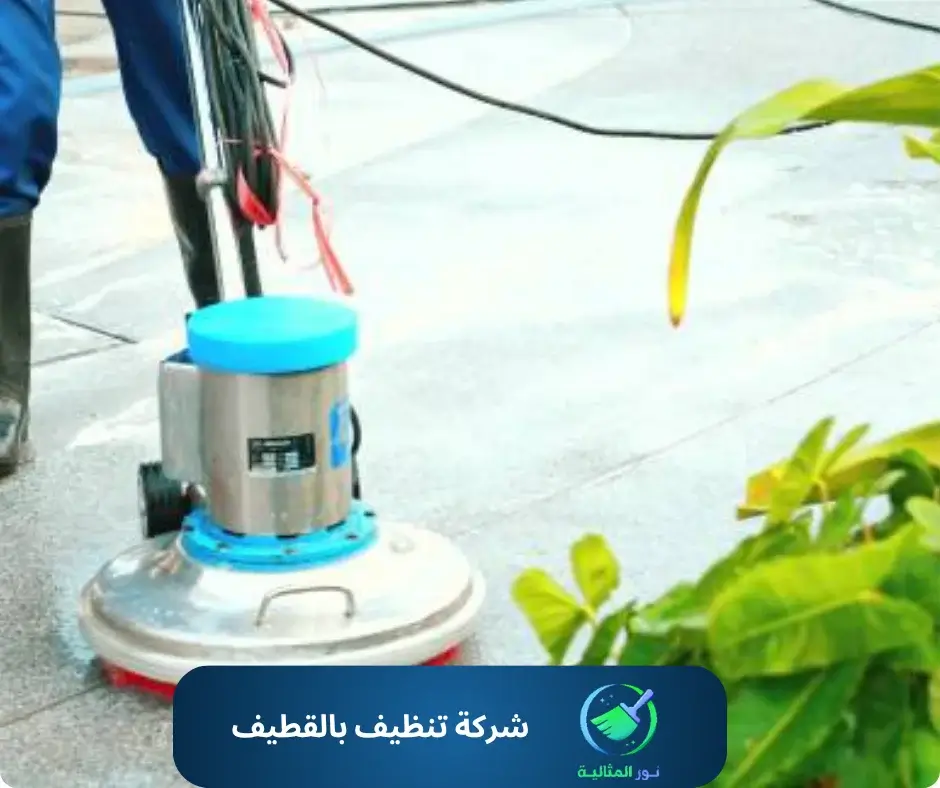 شركة تنظيف بالقطيف