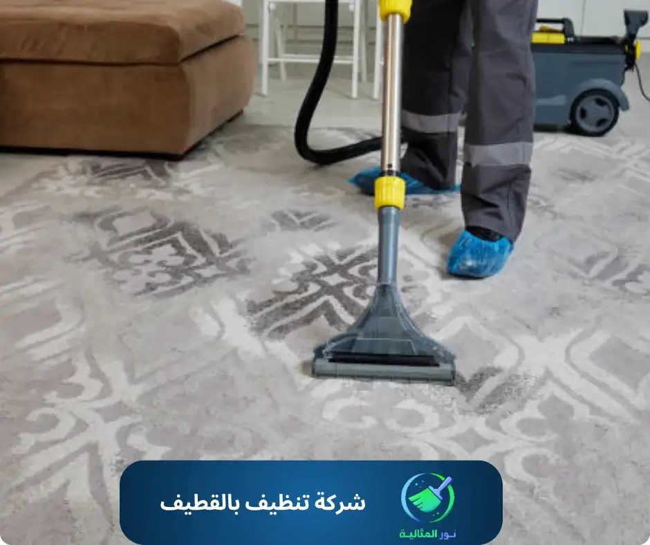 شركة تنظيف بالقطيف