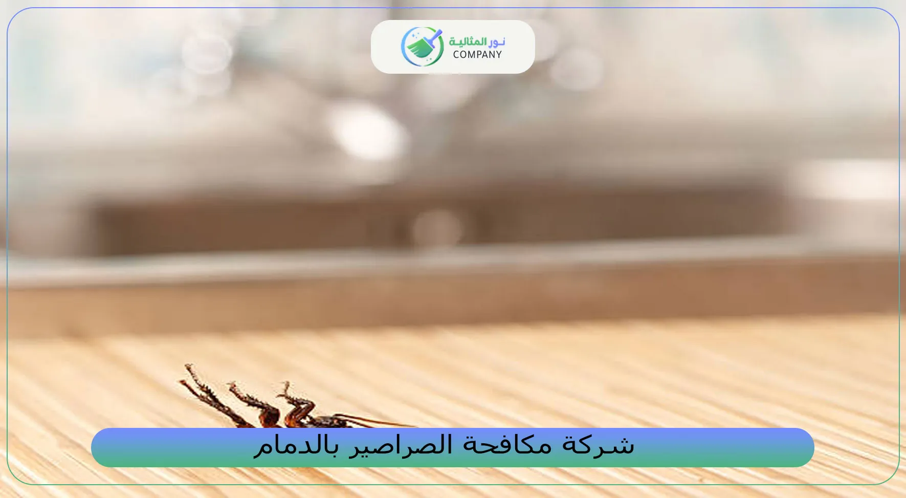شركة مكافحة الصراصير بالدمام