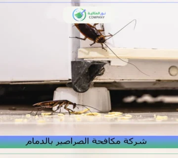 شركة مكافحة الصراصير بالدمام