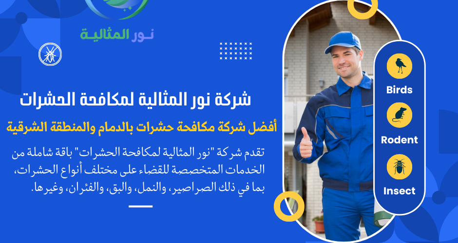 شركة نور المثالية لمكافحة الحشرات