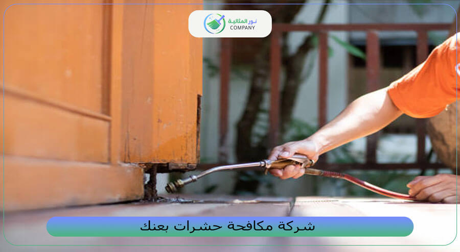 شركة مكافحة حشرات بعنك