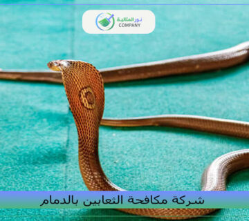 شركة مكافحة الثعابين بالدمام