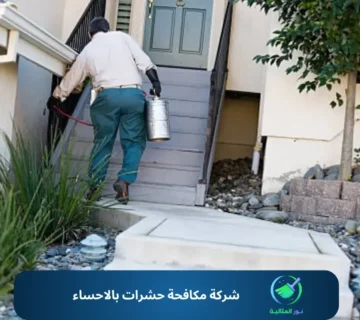 شركة مكافحة حشرات بالاحساء