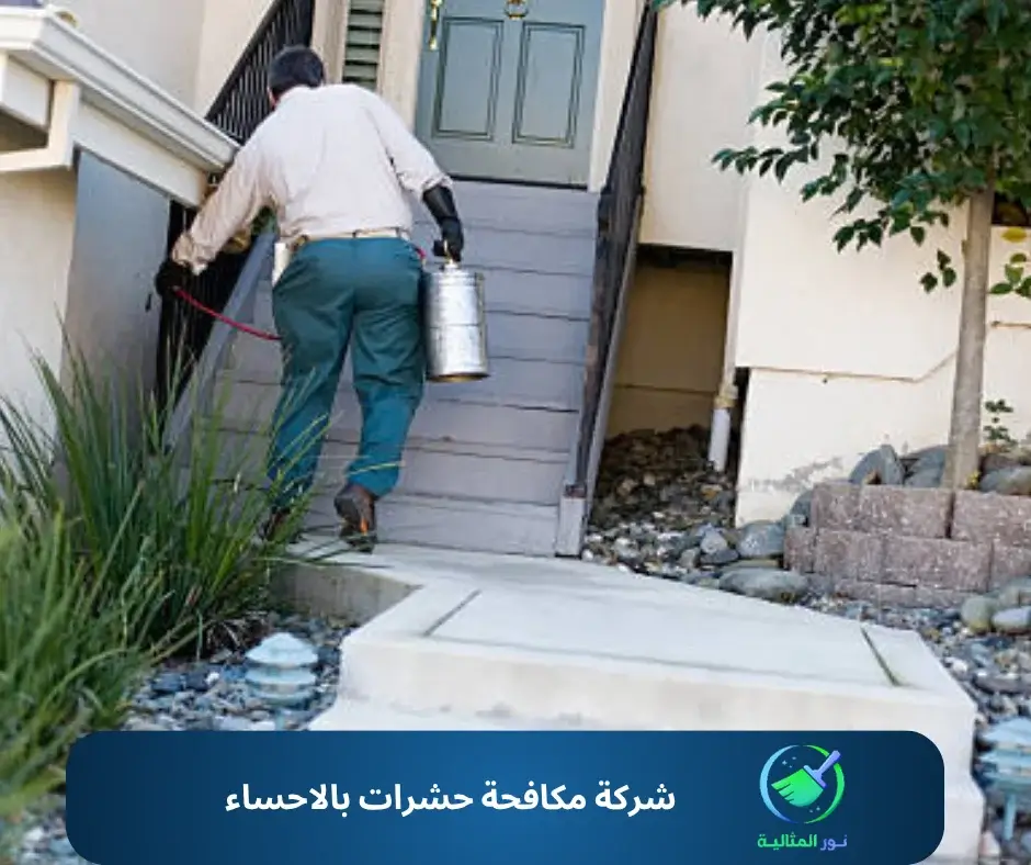شركة مكافحة حشرات بالاحساء