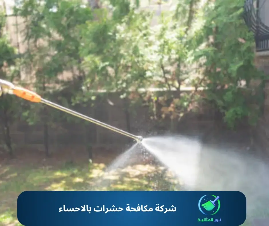 شركة مكافحة حشرات بالاحساء