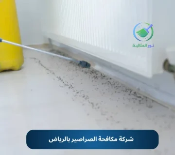 شركة مكافحة الصراصير بالرياض