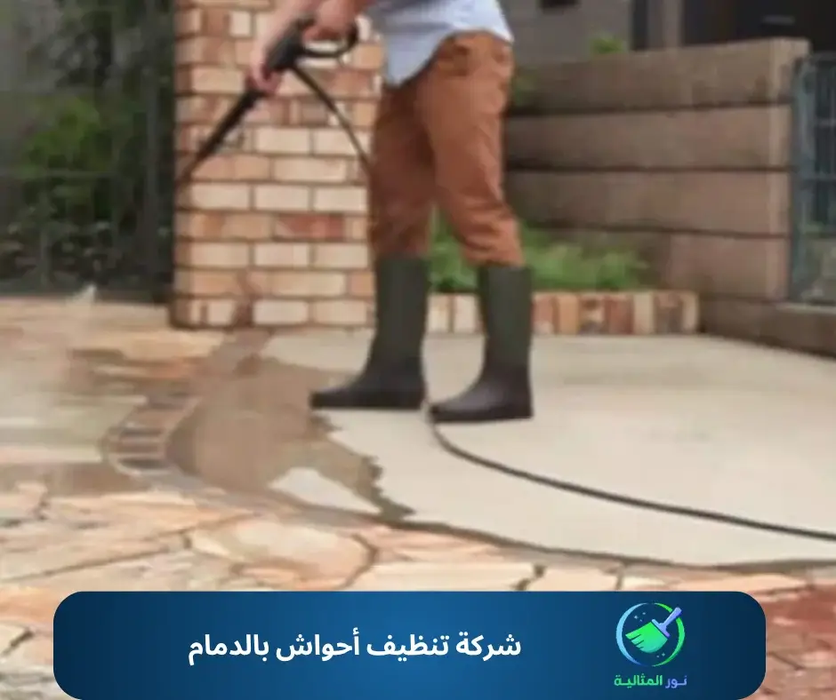 شركة تنظيف أحواش بالدمام