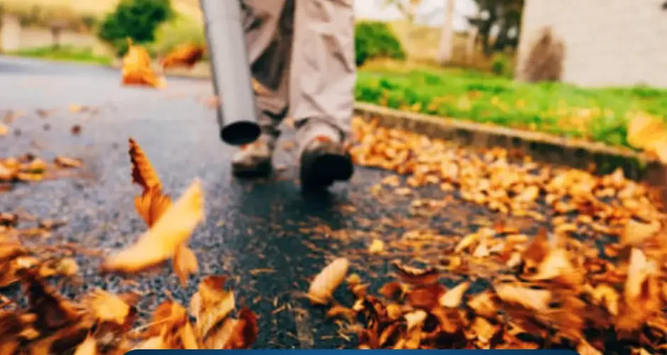 شركة تنظيف أحواش بالدمام