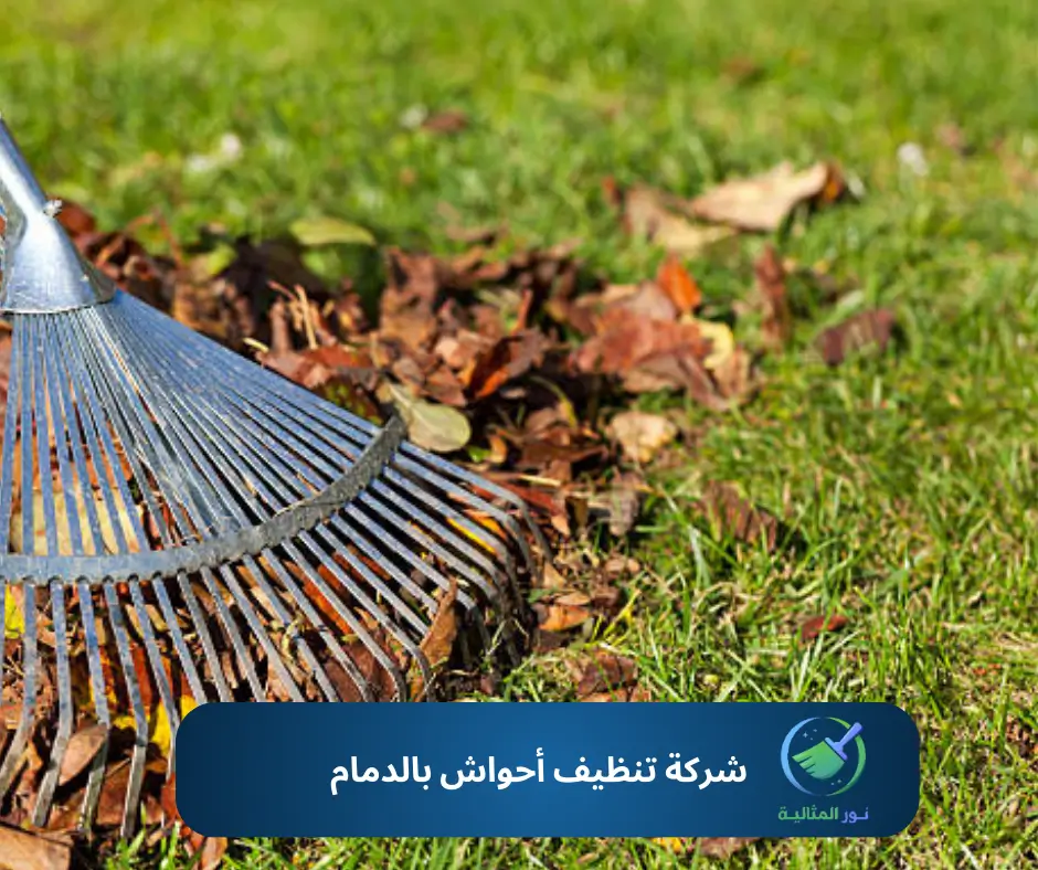 شركة تنظيف أحواش بالدمام