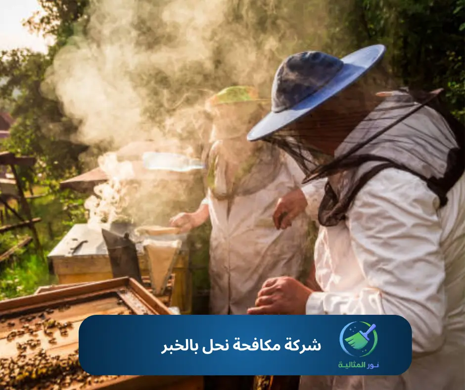 شركة مكافحة نحل بالخبر
