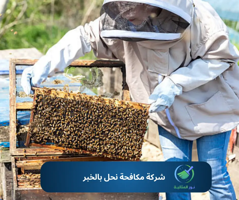 شركة مكافحة نحل بالخبر