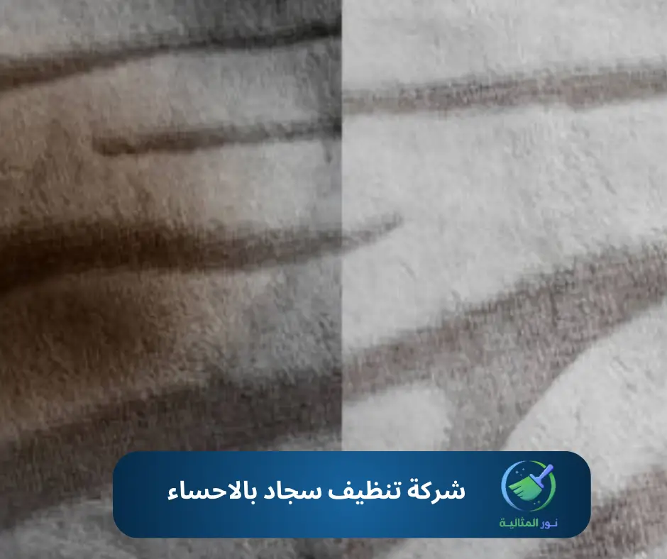 شركة تنظيف سجاد بالاحساء