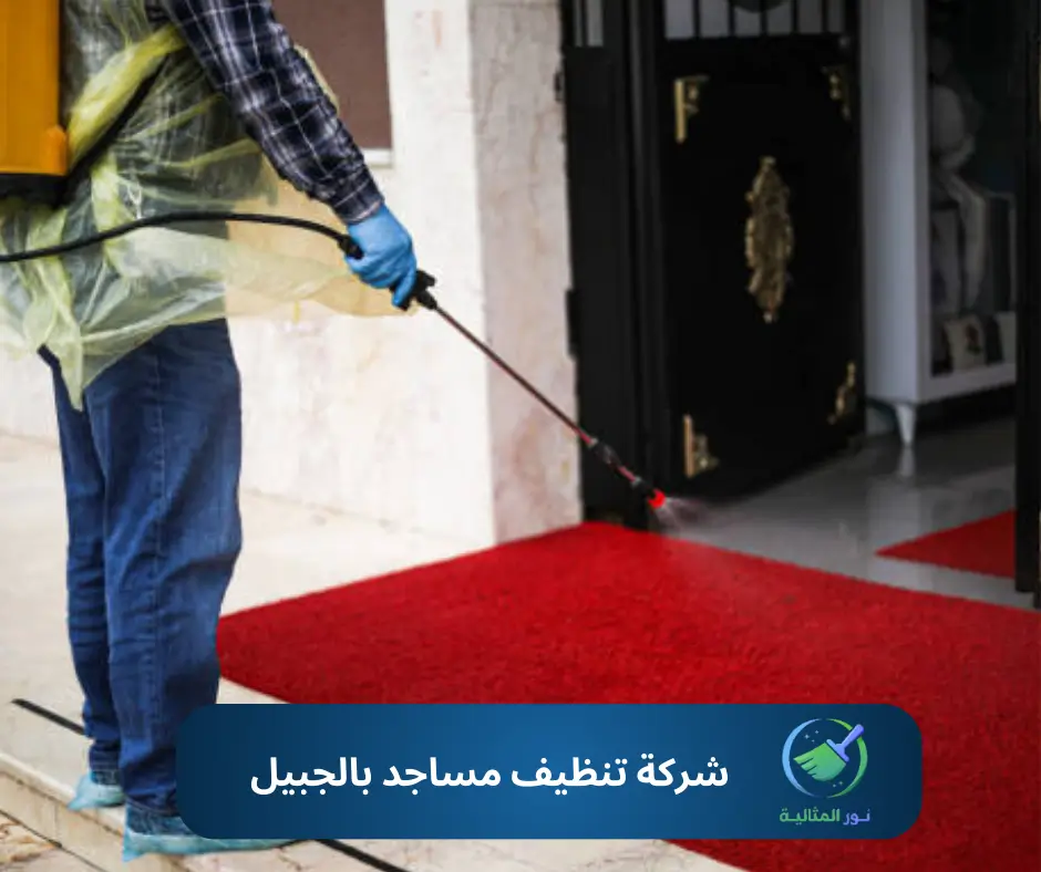 مسجد نظيف وسجاد مرتب يضفي راحة وروحانية على المصلين