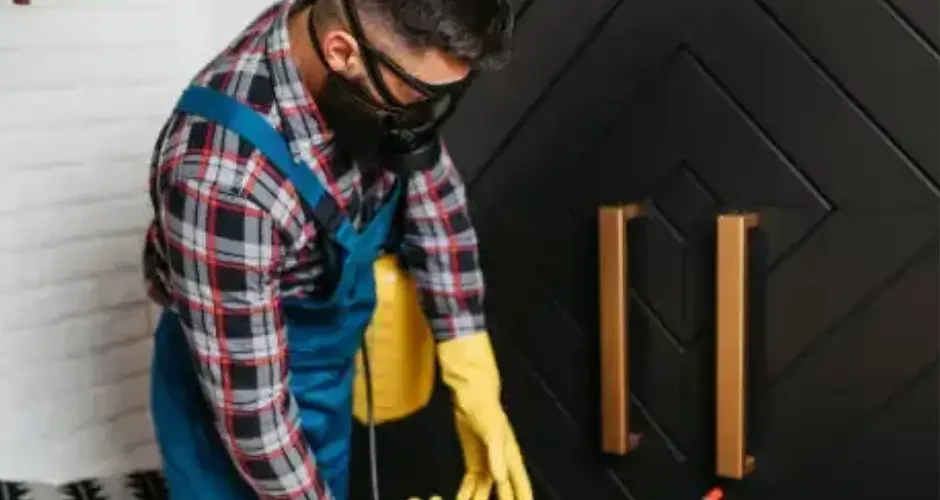 شركة مكافحة النمل الابيض بالجبيل