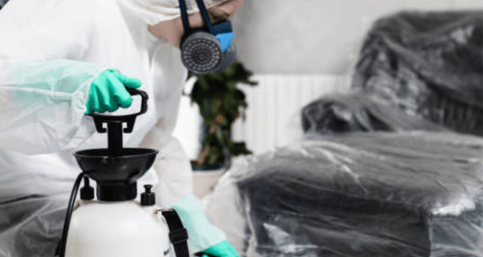 أفضل شركة مكافحة حشرات بالدمام