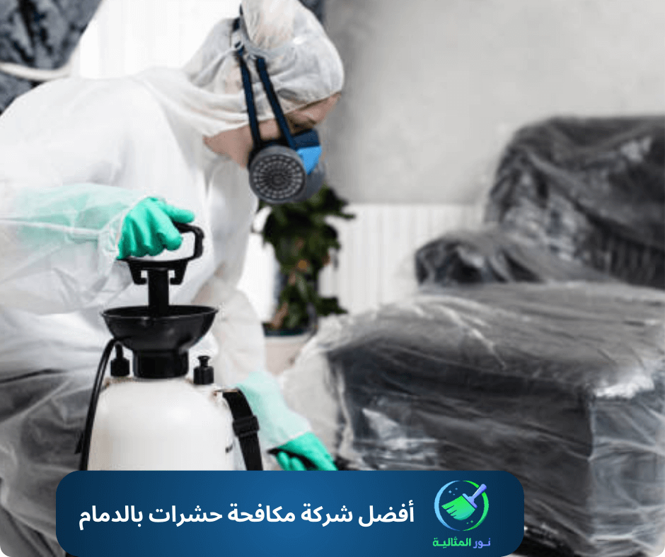 أفضل شركة مكافحة حشرات بالدمام