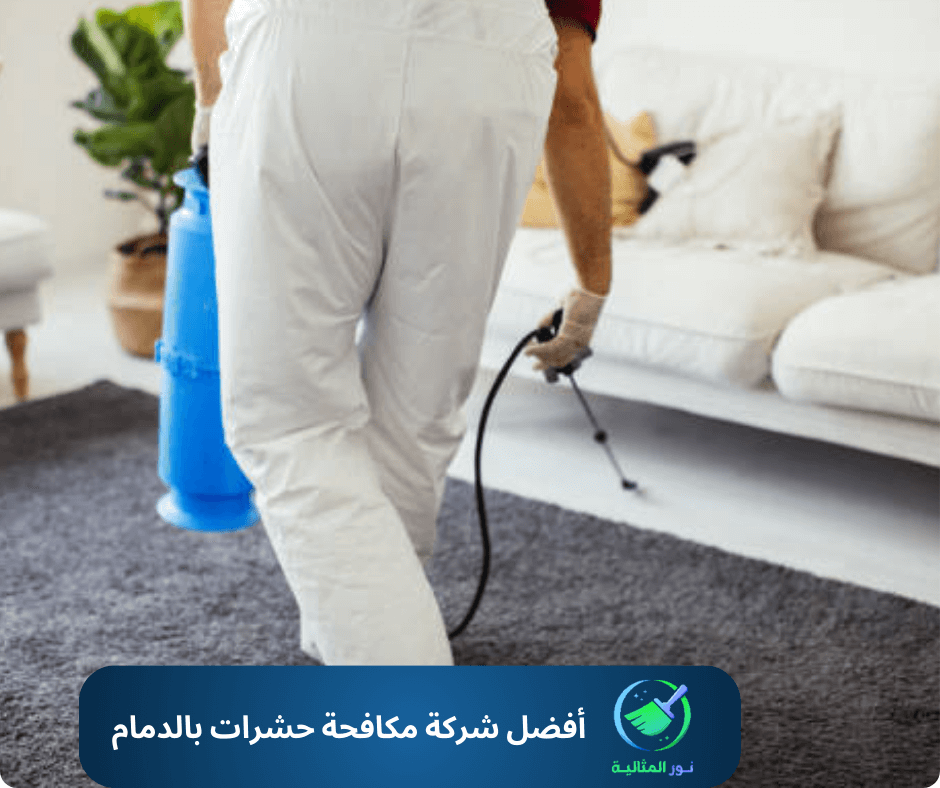 أفضل شركة مكافحة حشرات بالدمام