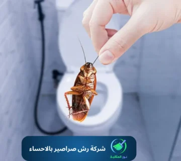 شركة رش صراصير بالاحساء