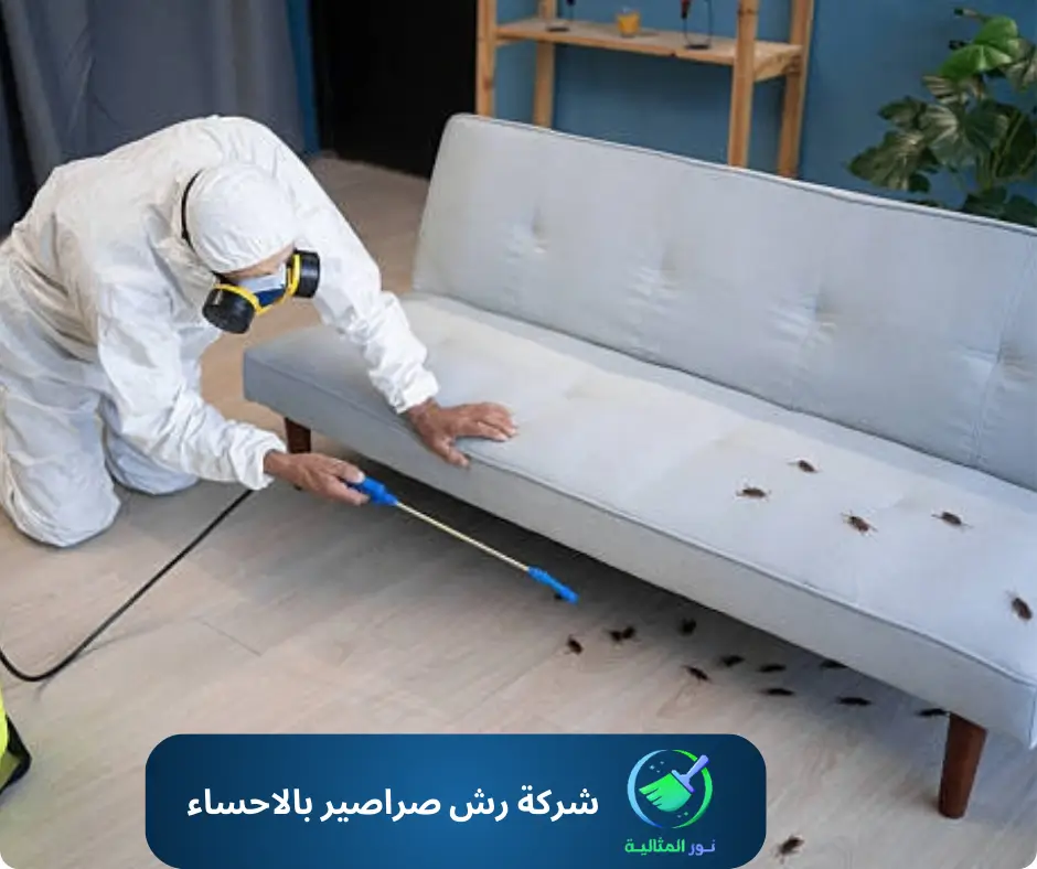 شركة رش صراصير بالاحساء 