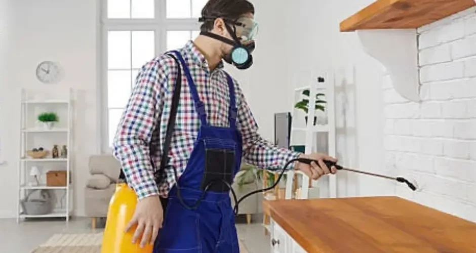 أفضل طرق التخلص من الصراصير في المنزل بالاحساء