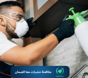 أفضل شركة مكافحة حشرات مع الضمان بالاحساء