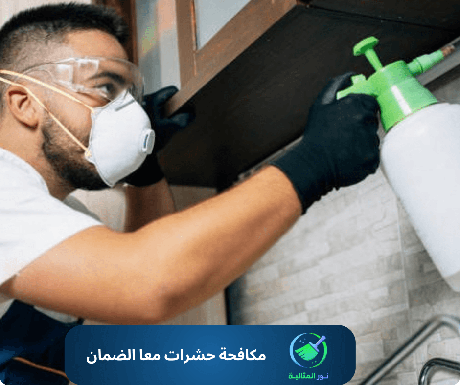 أفضل شركة مكافحة حشرات مع الضمان بالاحساء