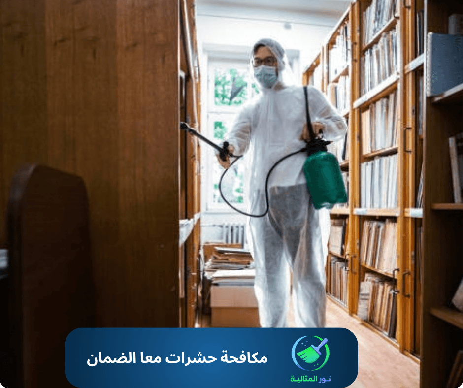 أفضل شركة مكافحة حشرات مع الضمان بالاحساء 